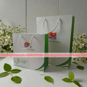 IN TÚI GIẤY QUÀ TẶNG DOANH NGHIỆP ĐẲNG CẤP