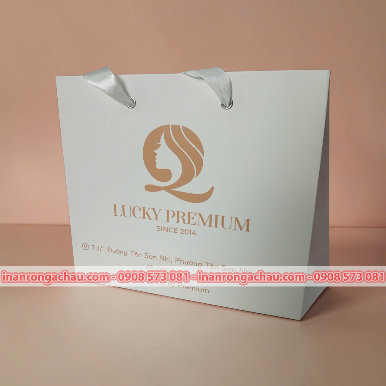 TÚI GIẤY VIỆN THẨM MỸ CAO CẤP - Hình ảnh 2