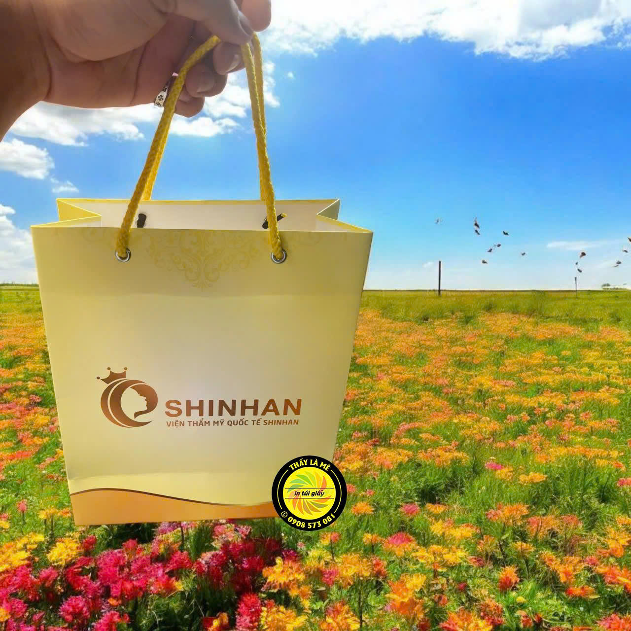 TÚI GIẤY VIỆN THẨM MỸ CAO CẤP - Hình ảnh 7