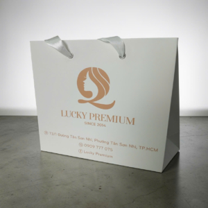 TÚI GIẤY VIỆN THẨM MỸ CAO CẤP